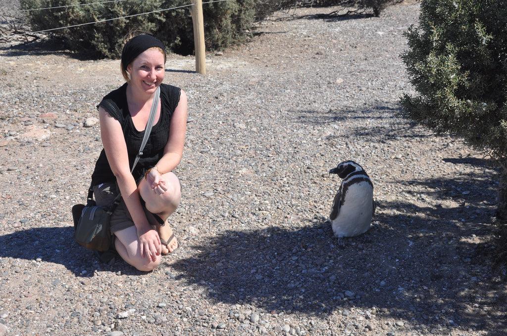 Punta Tombo Argentina Magellanic Penguins