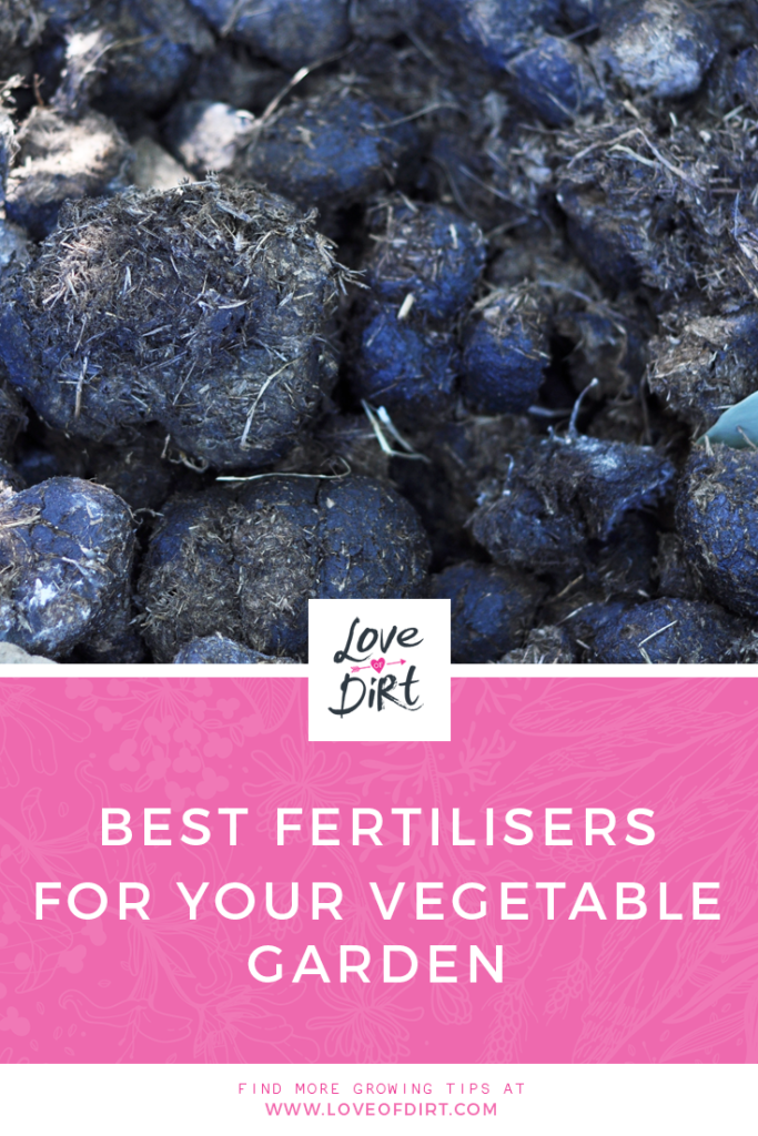 WHAT’S THE BEST ORGANIC FERTILISER TO USE ON MY VEGETABLE PATCH?