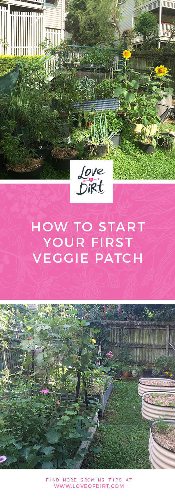 How to start your first veggie patch
