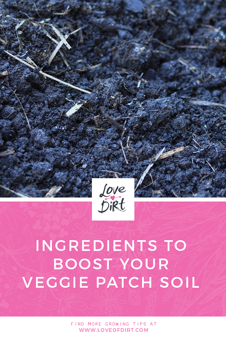Ingredients to Boost your Veggie Patch Soil