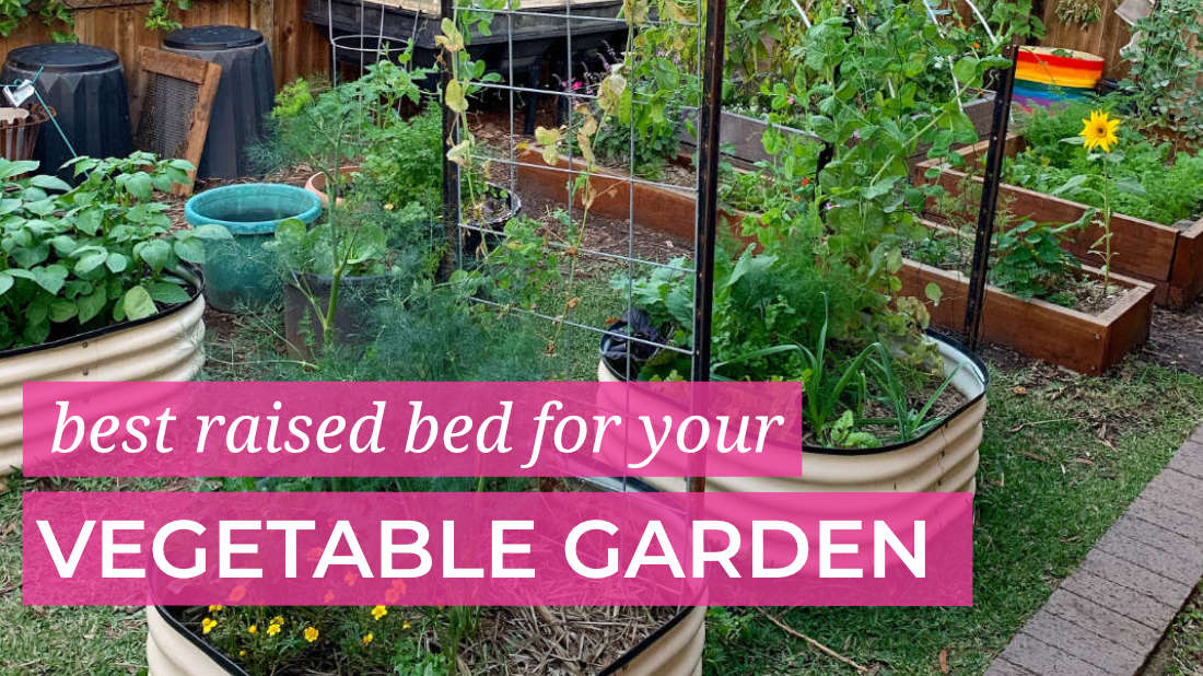 Best Raised Bed For Your Veggie Garden, Best Wood For Raised Garden Beds Australia